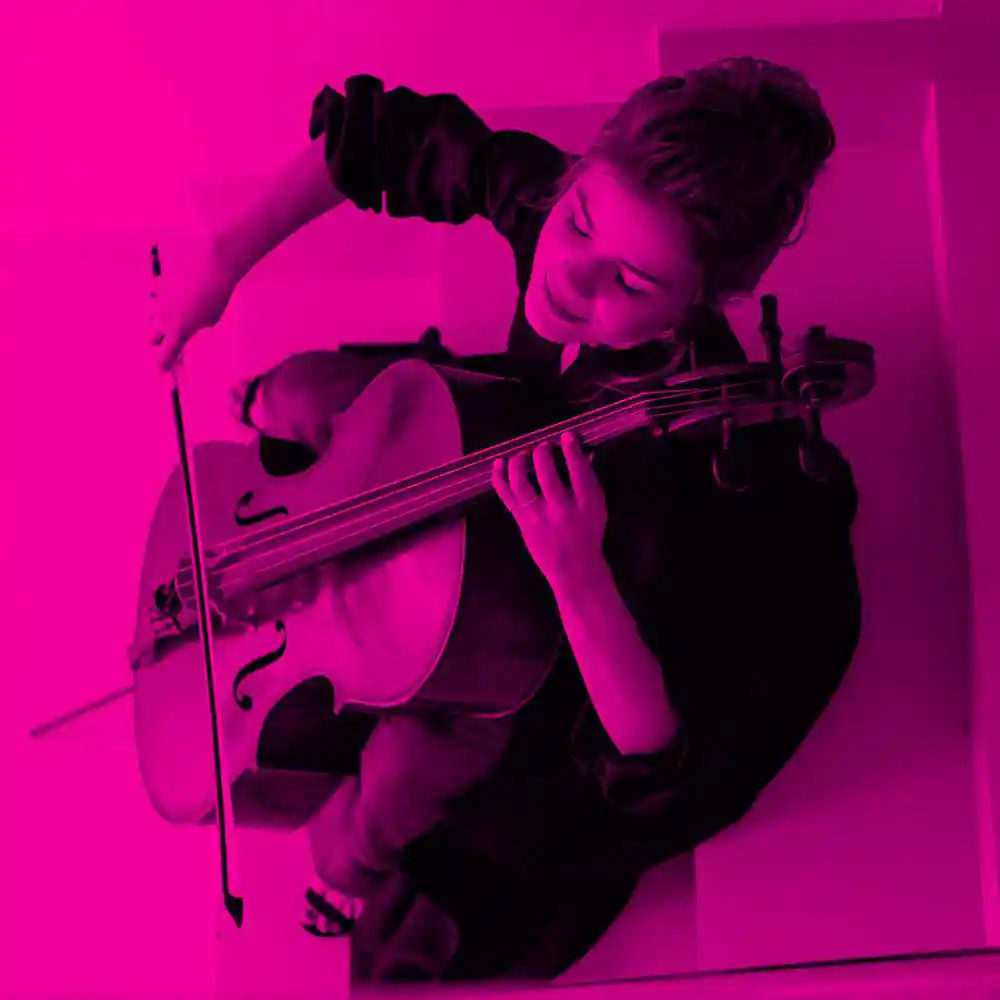 Concerte: Jazz, Muzică Clasică, Pop-Indie